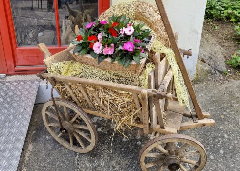 Inselblütenfest in Töplitz